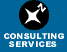 consulting services