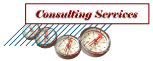Consulting Sevices